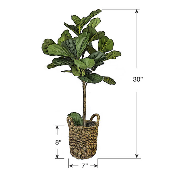 Joss & Main 30" Artificial Fiddle Leaf Fig Tree in Basket & Reviews